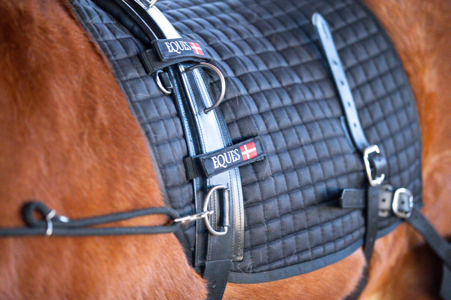 EQUES Core Trainer System