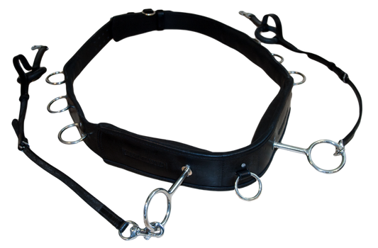 Longiergurt mit aufgesetzten Ringen